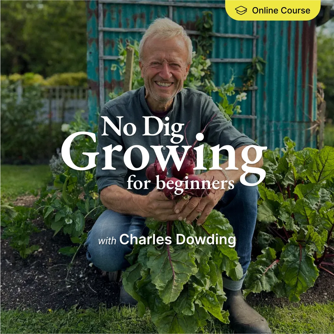 No Dig Growing Course